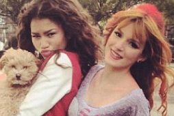 rencontre bella et zendaya